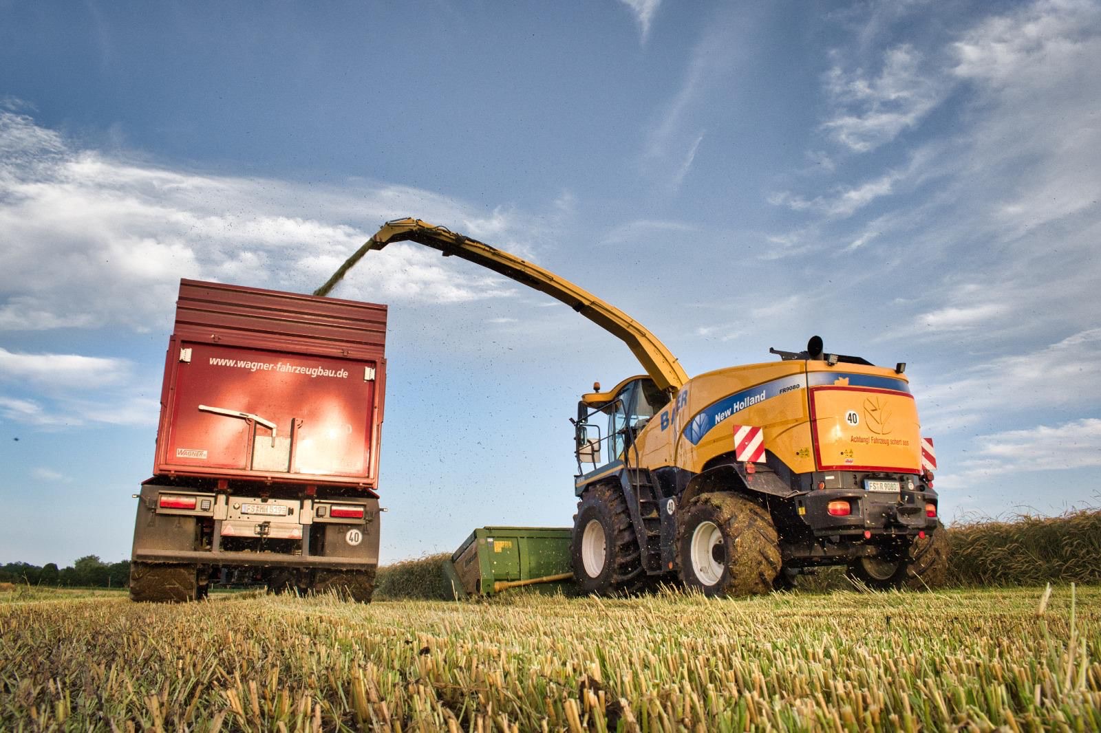 Gelber New-Holland-Feldhäcksler von Bauer im Ernteeinsatz neben einem Transportfahrzeug