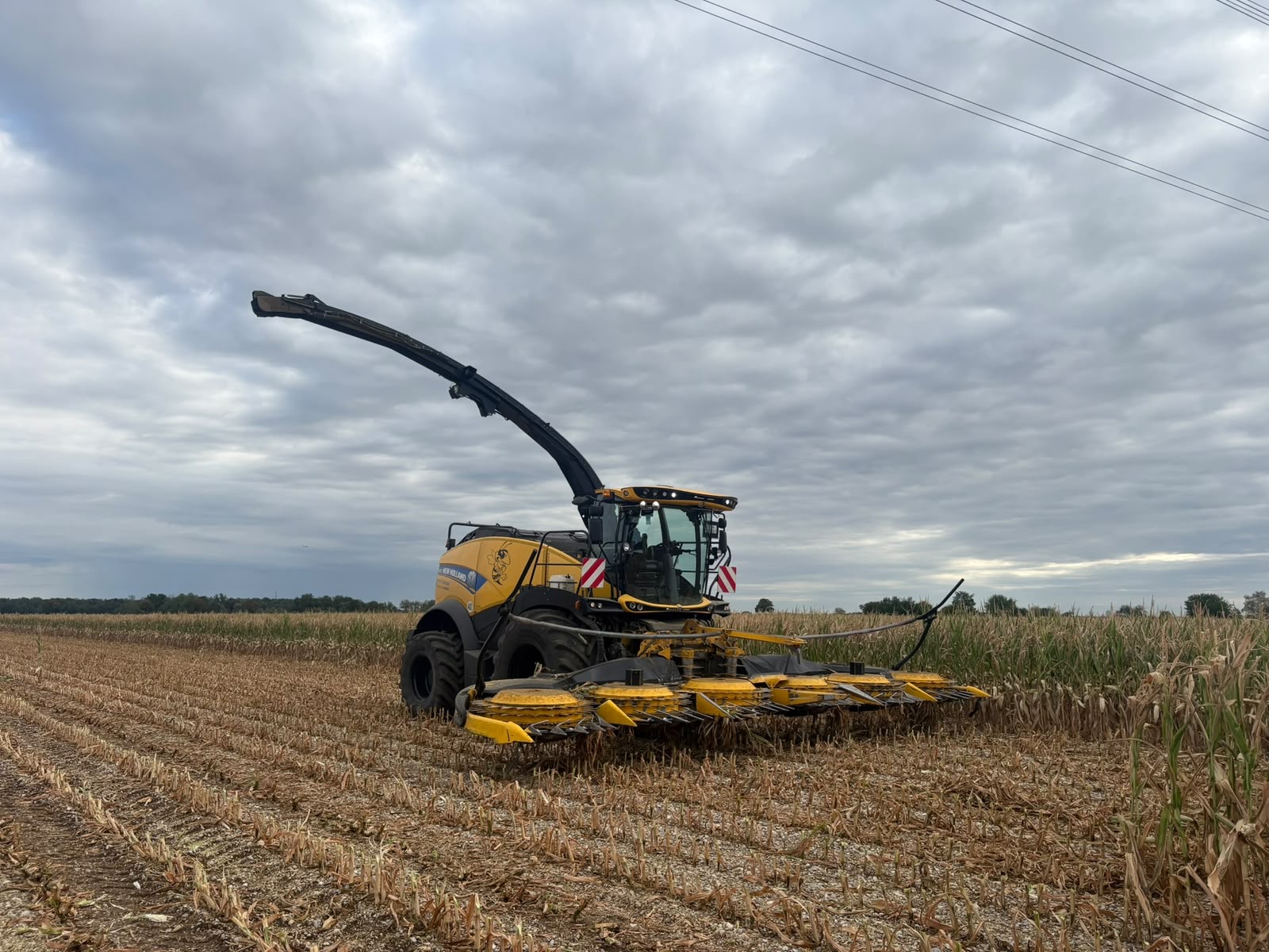 New-Holland-Feldhäcksler mit Maisvorsatz von vorne am Maisfeld