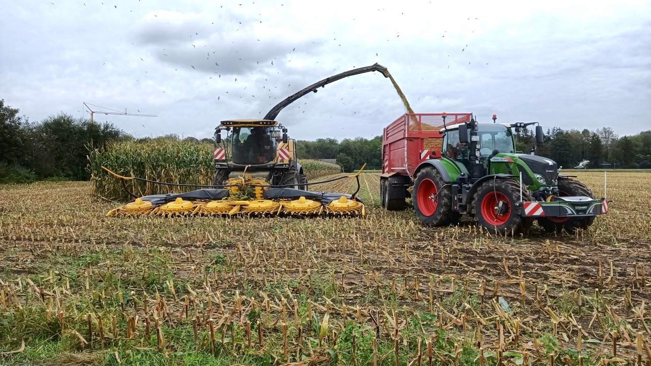 Feldhäcksler und Fendt mit Transportanhänger bei der Maisernte